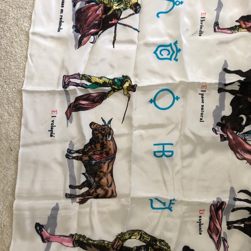 Beautiful Scarf - image 4